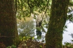 09 Beach pond